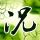男子花9.6万买车抽奖中10万